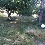 Elbkiosk Penzion Kleinzadel