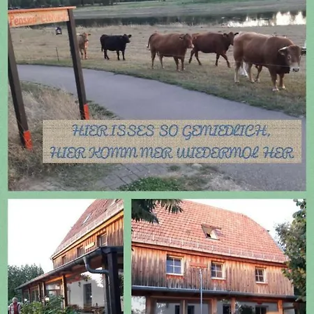 Elbkiosk * Kleinzadel