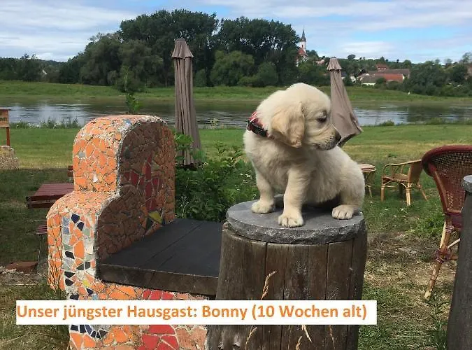 Elbkiosk Guest house