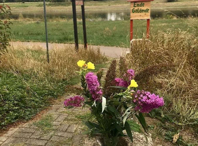 Maison d'hôtes Elbkiosk *