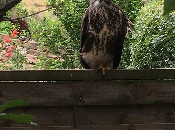 Maison d'hôtes Elbkiosk